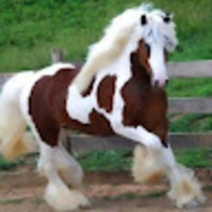 Meet your Posher, Aeryn